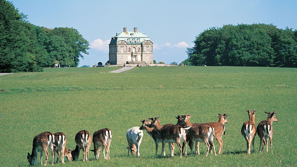 the-deer-park-the-hermitage-plain_1024x576